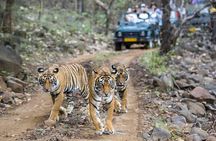 6 Days Golden Triangle with Ranthambore & Varanasi Tour