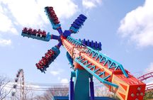 Everland Theme Park Admission Ticket with Transfer from Seoul