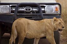 Private 3-Days of wildlife Safari exploring Uganda