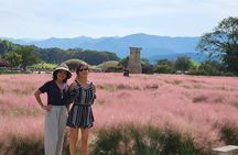 Private Gyeongju Tour - Explore Gyeongju UNESCO Sites