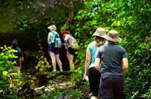 Kbal Spean Trekking Tour with Banteay Srei and Landmine Museum