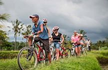 Bali Cycling and Ubud Tour Packages