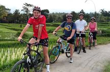 Bali Cycling and Ubud Tour Packages