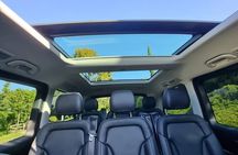McLaren Vale Small Shared Tour with Wine Tasting and Lunch