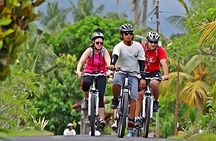 Bali Cycling and Ubud Tour Packages