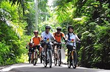 Bali Cycling and Ubud Tour Packages
