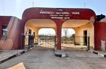 Private Day Tour Amboseli National Park, View Mt. Kilimanjaro 4*4