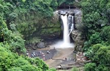 Amazing Bali Swing Experience with Ubud Full Day Tour