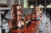 Create your own Gin at Riga Gin Laboratory