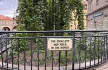 UNESCO Žatec The Town Where Beer is at Home Day Trip