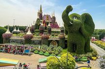 Dubai Miracle Garden and Dubai Frame Tour with Transfer
