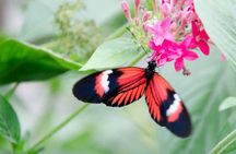 Andean Wonders: 6 Days of Culture, Nature, and Beauty