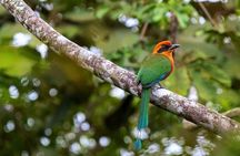 Andean Wonders: 6 Days of Culture, Nature, and Beauty