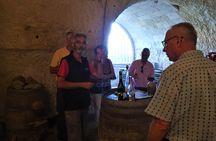 E-bike Cycling and Wine in Saumur France