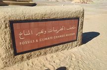 Private Day Tour to El Fayoum Oasis