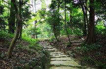 From Asakusa: Old Tokyo, Temples, Gardens and Pop Culture