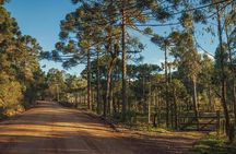 English Speaking Private Tour To Canyons Fortaleza, Itaimbezinho