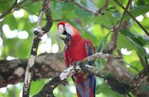 Corcovado National Park Hike San Pedrillo Station 