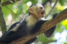 Corcovado National Park Adventure – Guided San Pedrillo Hike