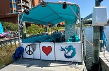 Frisky Mermaid Scenic Bay Cruise + Snorkeling Stop + Equipment