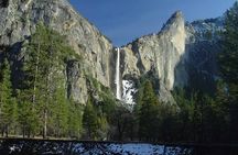 Enchanting Yosemite National Park Tour from San Francisco