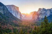 Enchanting Yosemite National Park Tour from San Francisco