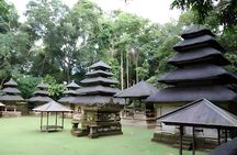 Bali Swing Activity and Tanah Lot Sunset Trip Packages