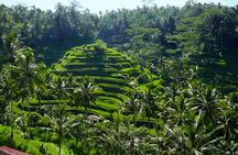 Bali River Tubing Adventure and Kintamani Volcano Tour Packages