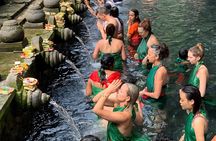 Private Full-Day Tour: Waterfall, Temple, Volcano, Rice Terrace & Monkey Forest
