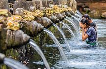 Bali Full-Day Car Charter: Ubud and Kintamani Volcano Trip
