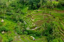 Bali River Tubing and Ubud Tour Packages