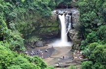 Bali Horse Riding Activity and Full-Day Trip in Ubud