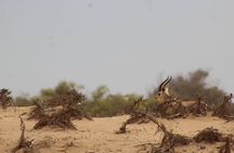 Agadir Jeep Safari & National Park including lunch & hotel pickup