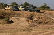 3 Days 2 Nights Maasai Mara Guided Safari Tour