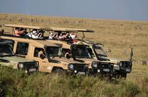 3 Days 2 Nights Maasai Mara Guided Safari Tour
