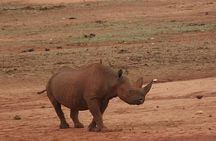 6 Days Safari Tour in Amboseli, Tsavo West and Tsavo East