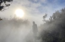 Meet in the park - Private Hawaii Volcanoes National Park Tour