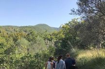 Cooking class in the countryside with Simona