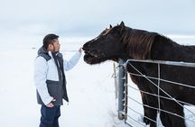 Golden Circle | Private Tour | PRO Photo Package 