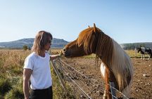 Golden Circle | Private Tour | PRO Photo Package 