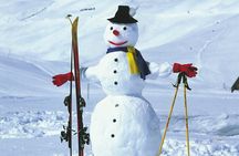 Private Tour to Gudauri Ananuri and Jinvali