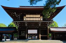Tokyo Private SightSeeing Day Tour