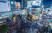 Tokyo Private SightSeeing Day Tour