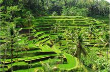 Discover Ubud: 2 Days Ubud Private Tour