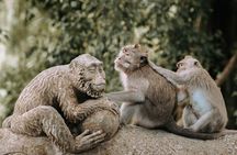 Discover Ubud: 2 Days Ubud Private Tour