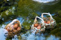 Chiang Rai: White, Blue, Red Temples and Long Neck Village Tour