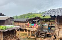 Chiang Rai White Temple Blue Temple and Hill Tribe Village Tour 