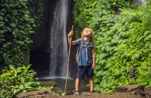 Private Waterfalls Tour in North Bali