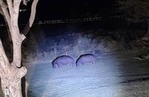 Stargazing and Moonlight Experience