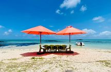 Speed Boat Tour île aux Cerfs and Others Gems of The South